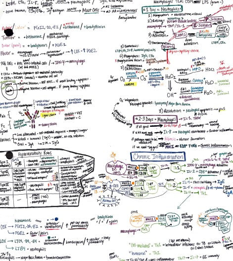 Step1 - Study Guide: Pathoma 1,2,3